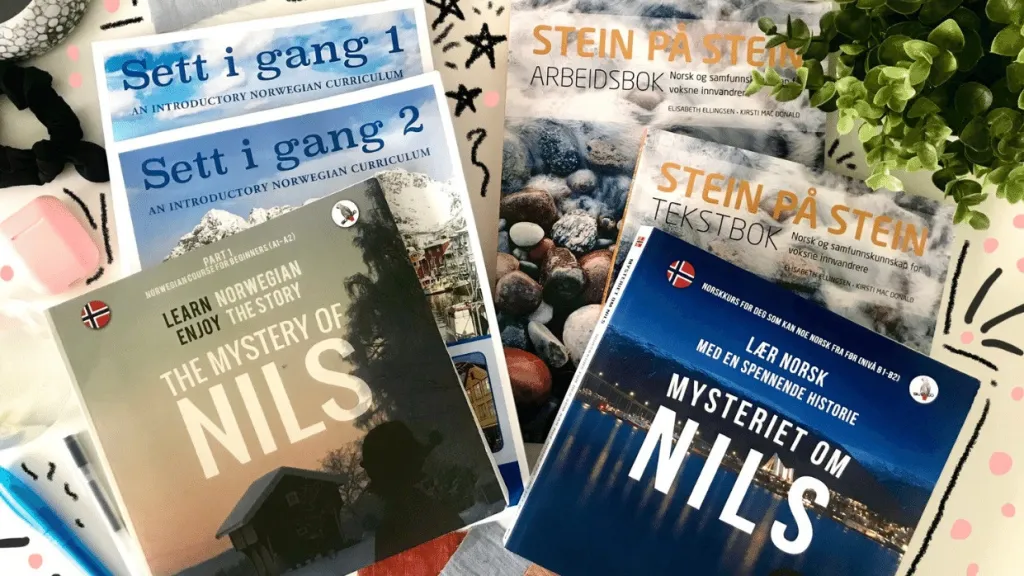 Zašto nikada nije kasno naučiti norveški jezik